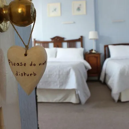 The Elms Guest House Bristol-2